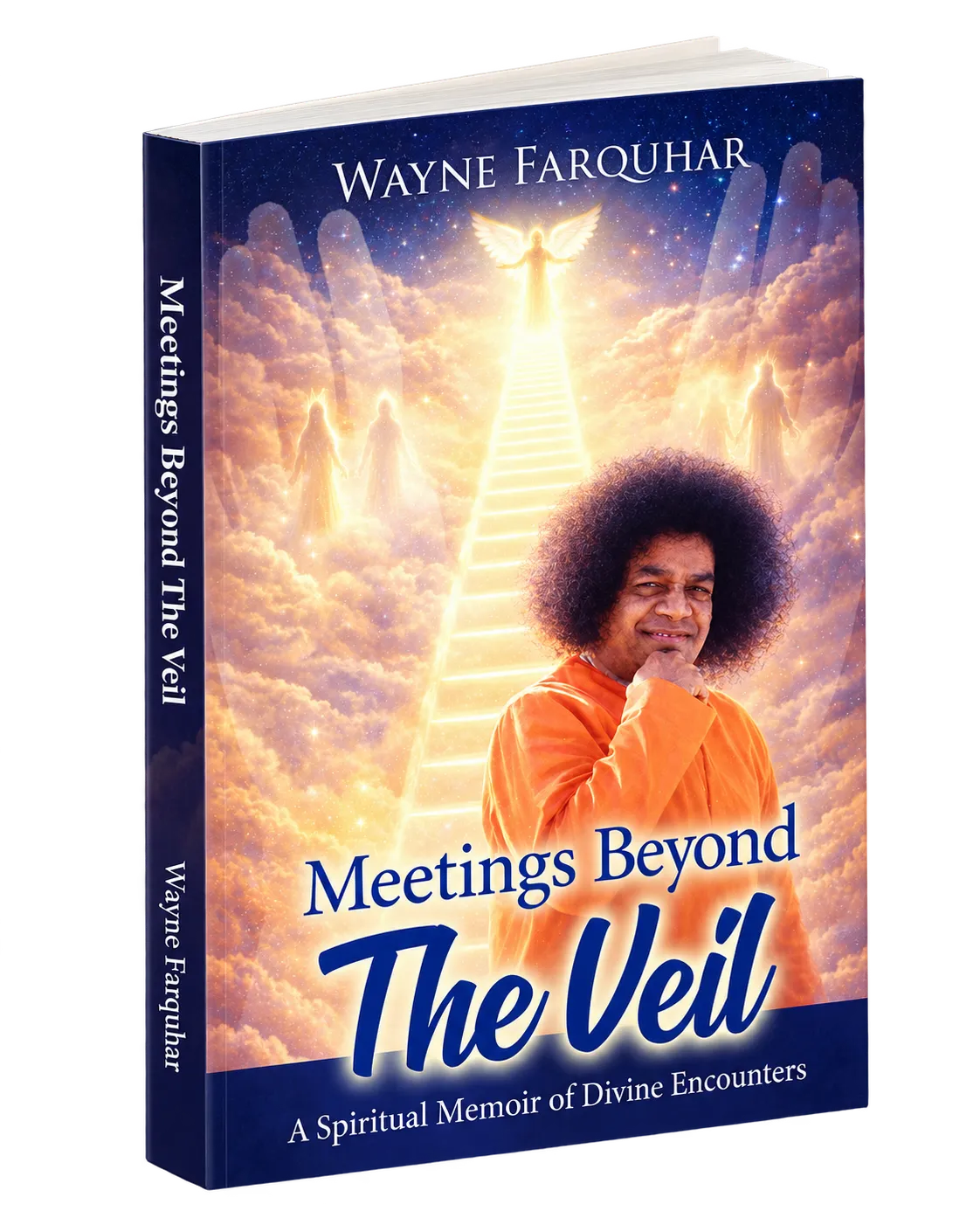 Meetings Beyond The Veil by Wayne Farquhar, book cover